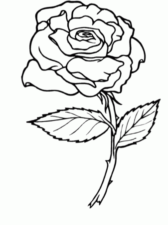 Rose Coloring Page | fanzdvrlistscom