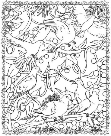 Dover coloring pages to download and print for free