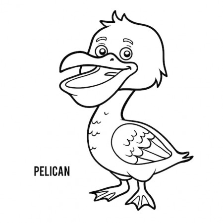 Premium Vector | Coloring book for children, pelican