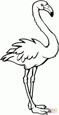 Flamingo coloring pages to download and print for free
