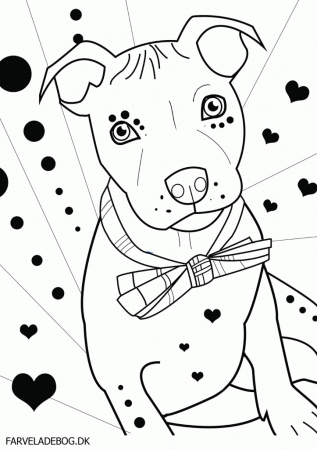 6 Pics of Pit Bull Puppy Coloring Pages - Pitbull Dog Coloring ...