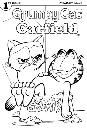 JUN171453 - GRUMPY CAT GARFIELD #1 (OF 3) CVR E COLORING BOOK - Previews  World