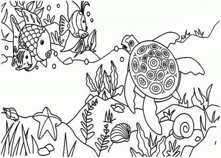 Ecosystems coloring pages