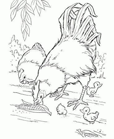 Chickens Coloring Pages - Coloring Pages For All Ages