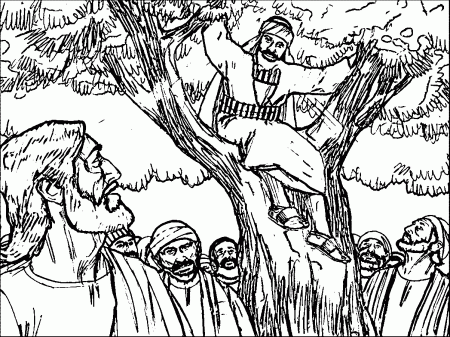 Zacchaeus Jesus Tree Coloring Page | Wecoloringpage