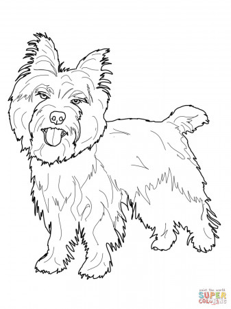 Cairn Terrier coloring page | Free Printable Coloring Pages