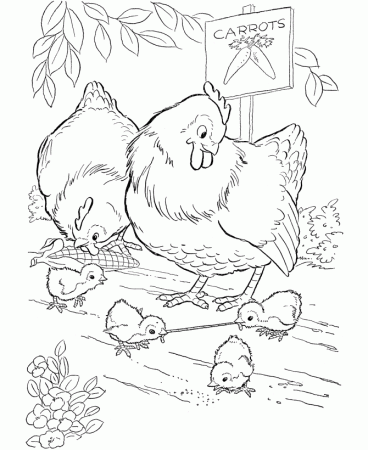 Farm Animal Coloring Pages | Printable Chickens Coloring Page and 
