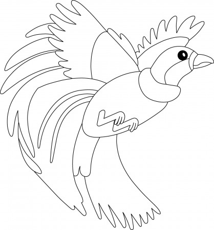Bird of Paradise Kids Coloring Page - Great for Beginner Coloring Book  2305827 Vector Art at Vecteezy