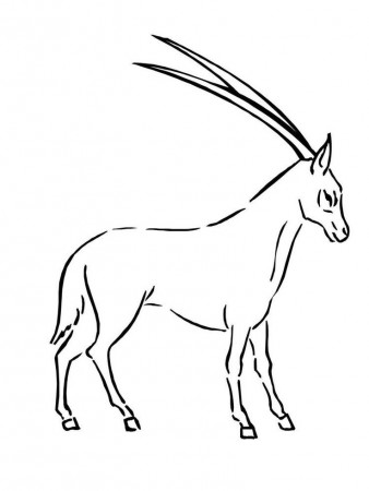 Impala coloring pages pdf. Impala is an animal that is a type of antelope  and inhabits the steppe region in the sou… | Coloring pages, Animal coloring  pages, Impala
