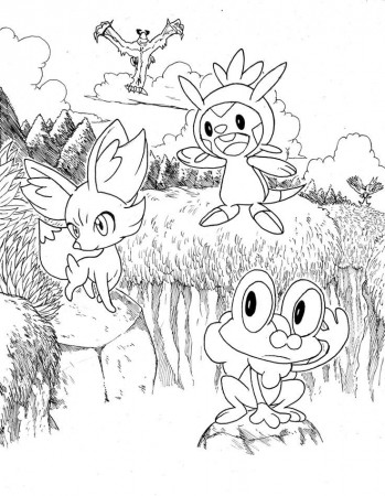 Pokemon Xy - Coloring Pages for Kids and for Adults