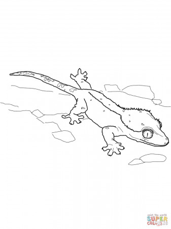 Leopard Gecko coloring page | Free Printable Coloring Pages