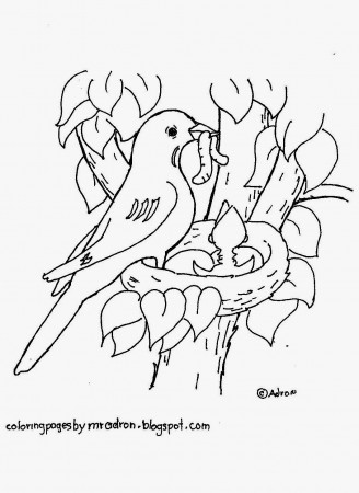 Coloring Pages for Kids by Mr. Adron: Robin In Nest Free Coloring Page