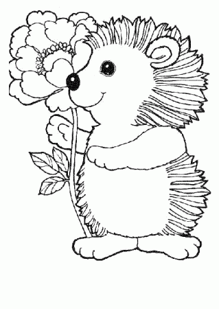 Hedgehog Coloring Pages (With images) | Animal coloring pages ...
