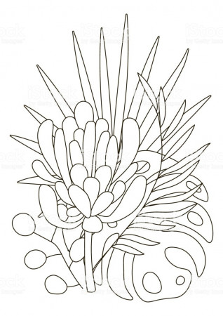 Hand Drawing Coloring Pages For Children And Adults Linear Style ...