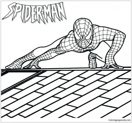 Spider man Homecoming Coloring Pages - Spiderman Coloring Pages - Coloring  Pages For Kids And Adults
