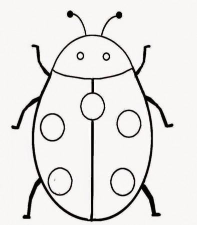 Lady bug coloring pages