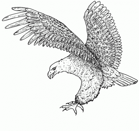 printable eagle coloring pages Coloring4free - Coloring4Free.com