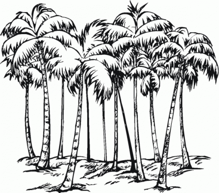 Coconut tree coloring page