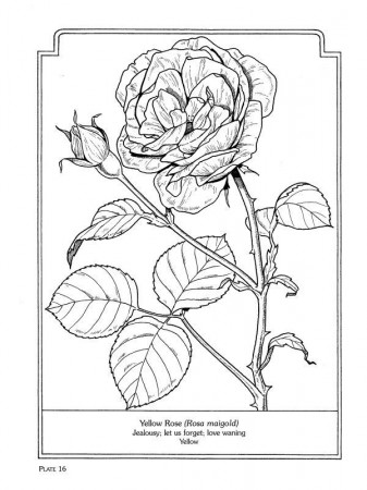 Flowers Coloring Book #441 | Pics to Color | Coloring | Pinterest ...