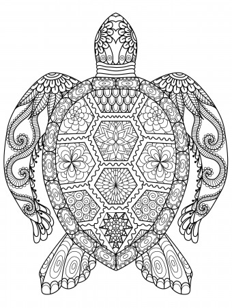 Detailed Sea Turtle Coloring Page for Adults