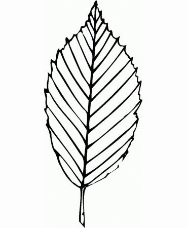Free Printable Leaf Coloring Pages For Kids