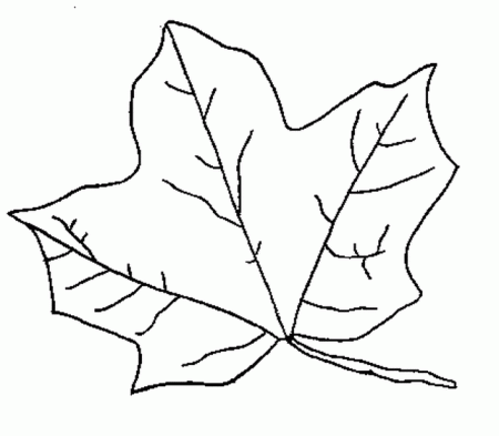Fall Leaf Coloring Pages for School Projects Car Trips