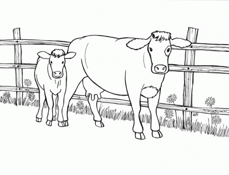 Coloring Pages Of Cow And Calf - High Quality Coloring Pages
