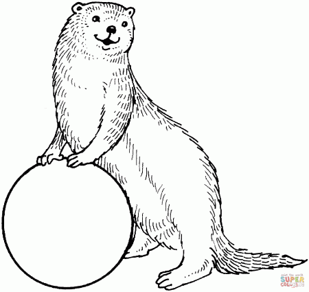 Otter coloring pages download and print for free