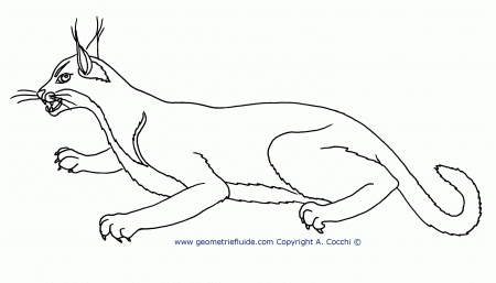 Caracal Coloring Pages: Caracal Cat Coloring Pages, Lynx Cat ...
