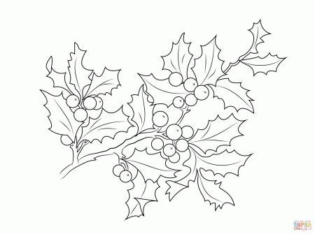 Christmas Holly Berries coloring page | Free Printable Coloring Pages