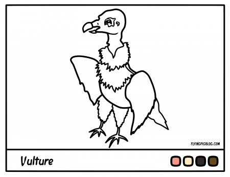 Coloring Pages | Flying Pig