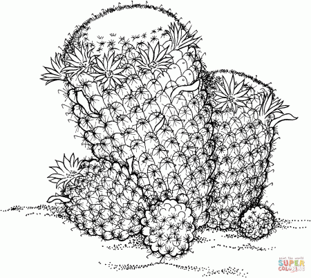 Cactus coloring pages | Free Coloring Pages