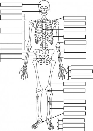 Anatomy And Physiology Coloring Pages Free Image 21 - VoteForVerde.com