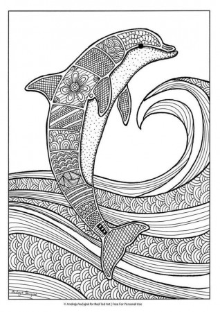 Pin on coloring dolphin, whale, shark