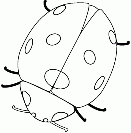 Free Free Ladybug Coloring Pages, Download Free Free Ladybug Coloring Pages  png images, Free ClipArts on Clipart Library