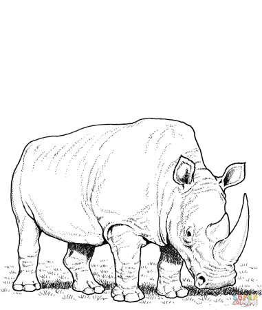 Rhino coloring pages | Free Coloring Pages