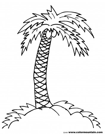 Palm Tree Coloring Pages - Auromas.com