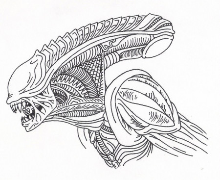 Xenomorph Head Picture Drawing - Drawing Skill