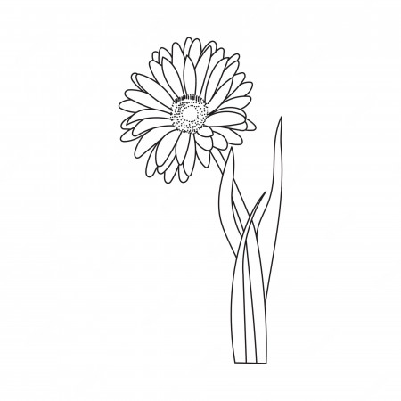 Premium Vector | Beautiful easy flowers coloring book cute educational flowers  coloring page for kids