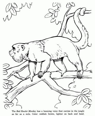 Justice monkey coloring pages download and print for free