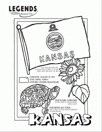State - Coloring Pages for Kids and for Adults