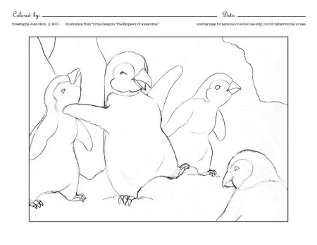 Cute Penguin Coloring Pages for Kids : New Coloring Pages Collections