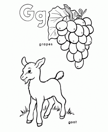 ABC Alphabet Coloring Sheets - G is for grapes / goat | HonkingDonkey