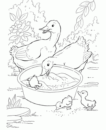 Easter Chick Coloring Pages - Farm geese chicks easter coloring ...