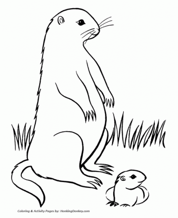 Groundhog Day Coloring Pages - Groundhog mother and pup Coloring 