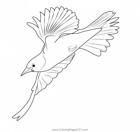 Flying Female Baltimore Oriole Coloring Page for Kids - Free New World  Blackbirds Printable Coloring Pages Online for Kids - ColoringPages101.com  | Coloring Pages for Kids