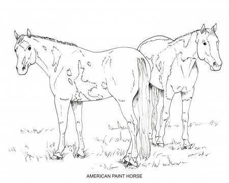 PRINTABLE Set of 10 Horse Breed Coloring Pages 2 Digital | Etsy Canada