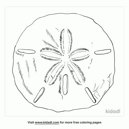 Sanddollar Coloring Pages | Free Animals Coloring Pages | Kidadl