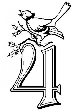 52 Awesome Four Calling Birds ideas | birds, 12 days of christmas, twelve  days of christmas
