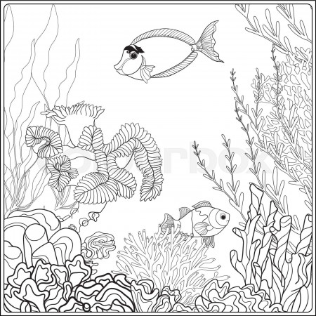 Coloring page with underwater world coral reef. Corals, fish and seaweeds.  | Stock vector | Colourbox